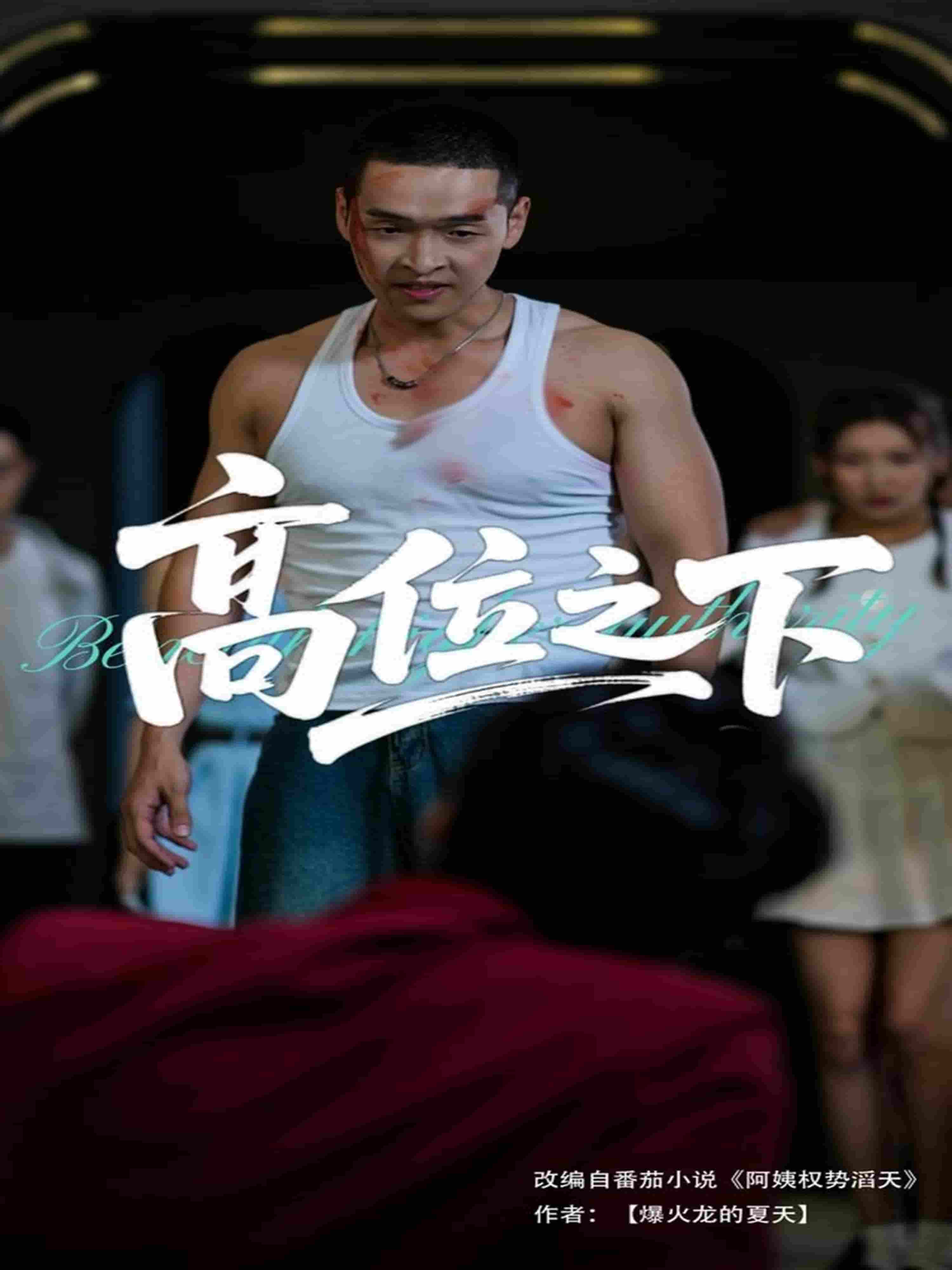 高位之下(全集)