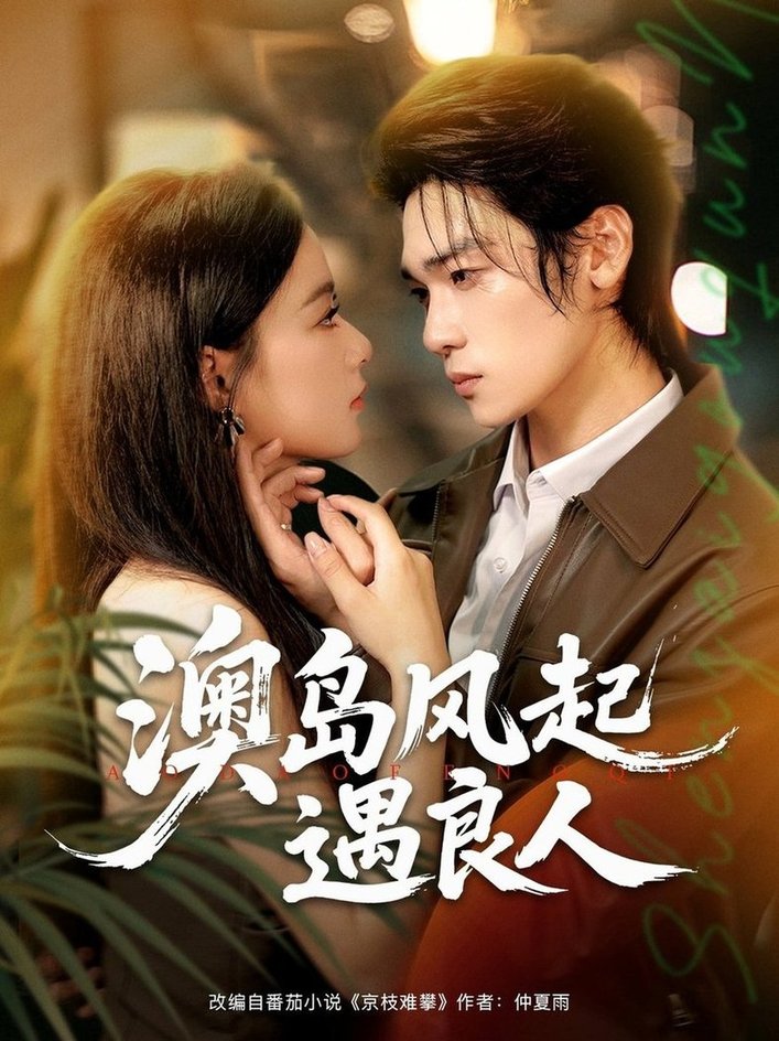 澳岛风起遇良人(全集)