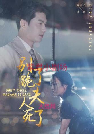 别跪了，夫人死了41-60集