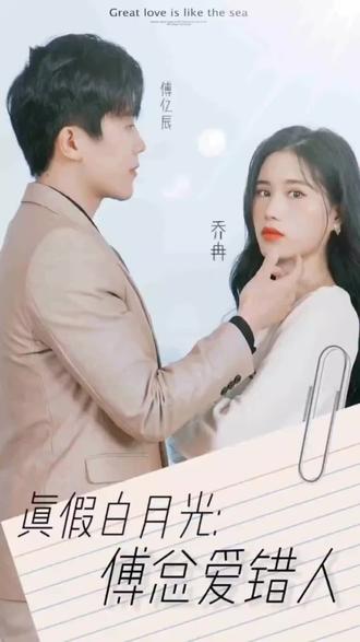 真假白月光，傅总爱错人21-40集
