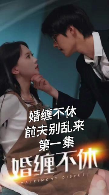 纠缠不休，潜伏别乱来1-20集