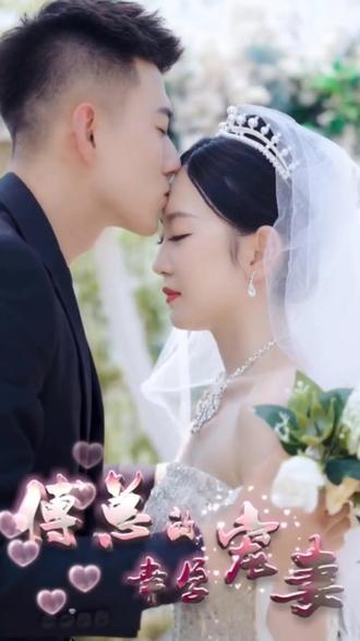 傅总的幸孕宠妻41-60集