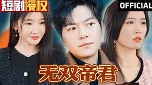 无双帝君全集(大结局)