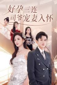 好孕三连司爷宠妻入怀(全集)