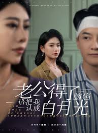 老公得了脑癌错把我认成白月光第01-30集(大结局)