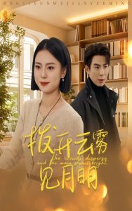 拨开云雾见月明第01-30集(大结局)