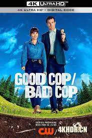 好警察-坏警察(全集)